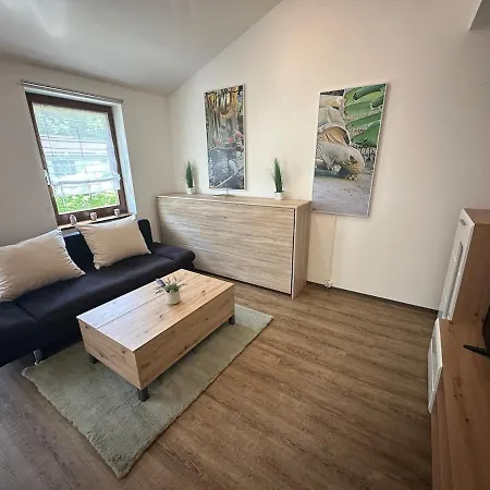 Apartmán Mit Galerie - Hunde Willkommen Falkenstein (Upper Palatinate)
