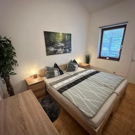 Apartmán Mit Galerie - Hunde Willkommen Falkenstein (Upper Palatinate)