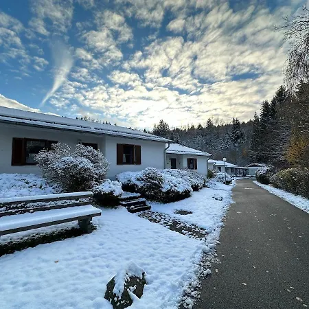 Mit Galerie - Hunde Willkommen Falkenstein (Upper Palatinate)