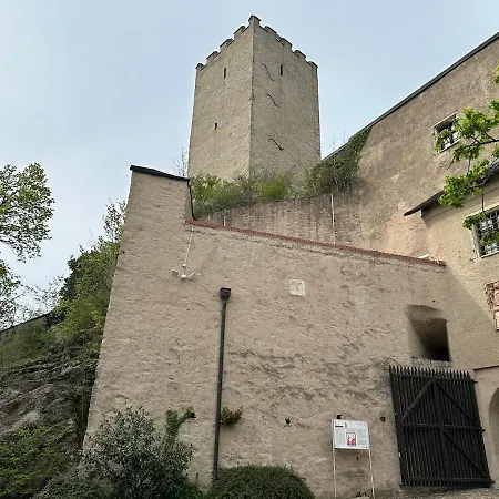 Mit Galerie - Hunde Willkommen *