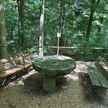 Mit Galerie - Hunde Willkommen * Falkenstein (Upper Palatinate)